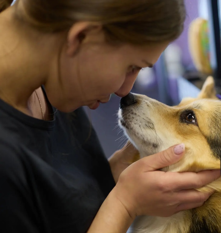 Din lokala hundfrisör i Stångom för Kloklippning